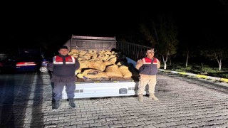 Vanda 3 ton 820 kilo kaçak avlanmış balık ele geçirildi
