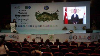 Vanda 3. Ulusal Yaban Hayvanları Kongresi başladı