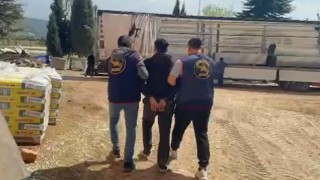 Vanda hırsızlık operasyonu: 8 gözaltı