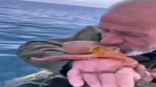 Yakaladığı ahtapotu öpüp sevdi, denize bıraktı