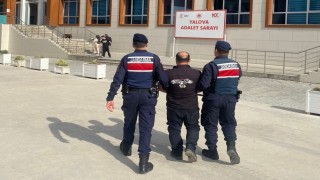 Yalovada 16 yıl hapisle aranan hükümlü yakalandı