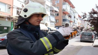 Yalovada çatıdan düşen yavru martıyı itfaiye kurtardı