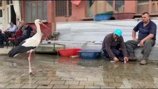 Yarenin rakibi Bilal Leylek baba oldu