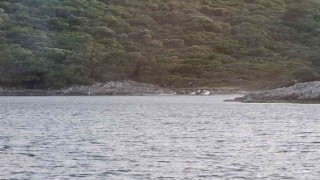 Yasak bölgeye zodyak botla gelen 3 şahıs yakalandı