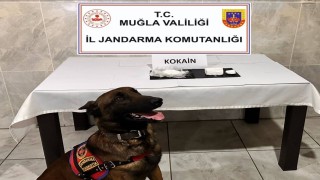 Yatağanda yolcu otobüsünde 290 gram kokain yakalandı