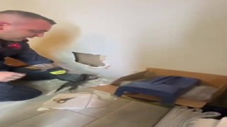 Yavruları duvar arasında mahsur kalan kedilerin imdadına itfaiye ekipleri yetişti