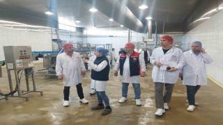 Yem üretim tesislerine detaylı denetim