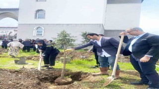 Yeşeren Umutlar, Filizlenen Gelecek