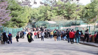 Yırtıcı Adası ile Gaziantep Doğal Yaşam Parkının ziyaretçi sayısı artırılacak
