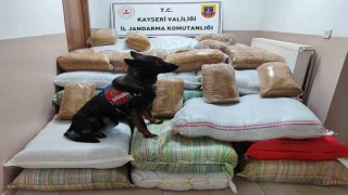 Yolcu otobüsünde 1 buçuk ton kaçak tütün yakalandı