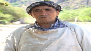 Yunusemre Belediyesinden arıcılığa tam destek