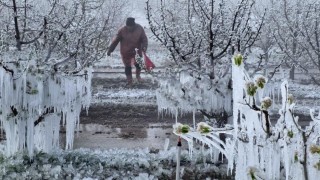 Zirai Don Meclis Araştırma Komisyonu 14 Mayısta toplanıyor