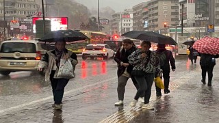 Zirai donla üzen nisan yağışlarla sevindirdi