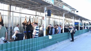 -Pursaklar Belediyesinden çevrim içi kurban kesimi