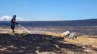 10 bin dönümlük arazi alevlere teslim oldu