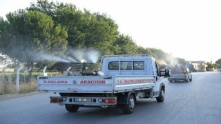 Acarlarda sivrisinekle mücadele çalışması sürüyor
