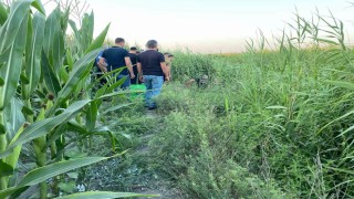 Adanada sazlıklar arasında bir kişi ölü bulundu