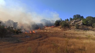 Adıyamanda orman yangını korkuttu