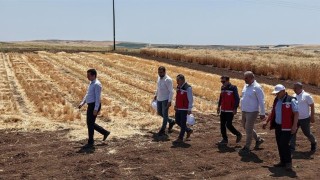 Adıyamanda tohumculuk sektörü güçleniyor