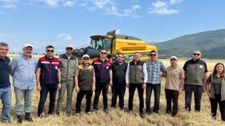 Afyonkarahisarda hububat hasadı başladı