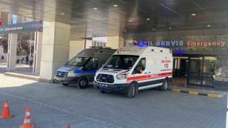 Ahırda süt sağan kadını kene ısırdı