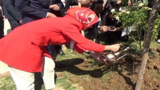Aile ve Sosyal Hizmetler Bakanı Göktaş, Tuncelide