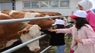 Aileyle üretim yolculuğu: Modern tesislerden tandıra, nesiller buluştu