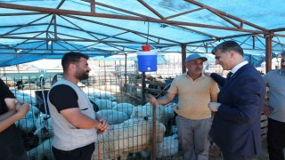 Akdenizde kurban satış yerleri hazır