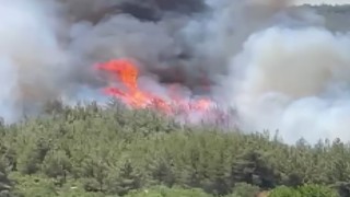 Akhisarda başlayan orman yangınına müdahale devam ediyor