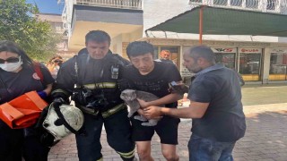 Alevlerin sardığı evde balkona sığındı kedisini elinden bırakmadı
