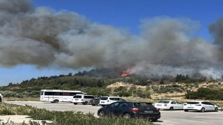Aliağada bir orman yangını daha
