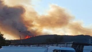 Aliağadaki orman yangıyla ilgili 1 kişi tutuklandı
