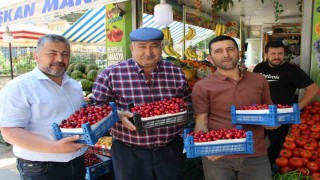 Amasyada 60 yıldır yarışması yapılıyordu, şimdi bir tane bile kiraz yok