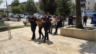 Amcalarının oğluna cinsel istismar iddiasıyla gözaltına alınan 2 kuzenden 1i tutuklandı