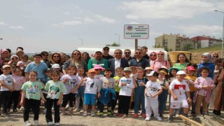 Anaokulu öğrencileri 500 fidan dikti