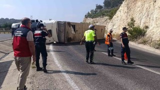 Angus yüklü tır devrildi, kaçan hayvanlar yakalandı