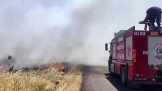 Anız yangını ormanlık alana sıçradı