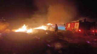 Anız yangınında ağaçlar, direkler ve kablolar zarar gördü