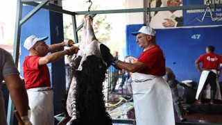 Antalya Büyükşehir Belediyesinden hijyenik ortamda ücretsiz kurban kesim hizmeti