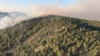 Antalya Gazipaşada orman yangını