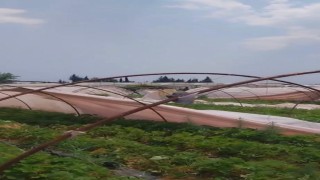 Antalyada hortum seralara zarar verdi