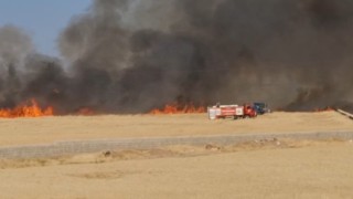 Araban Ovasında hasada hazır 50 dönüm buğday yandı