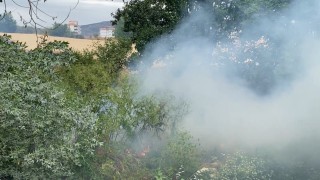 Arazide çıkan yangın yerleşim yerine sıçramadan söndürüldü