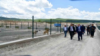 Ardahanda sahipsiz hayvanlara yeni bir yuva