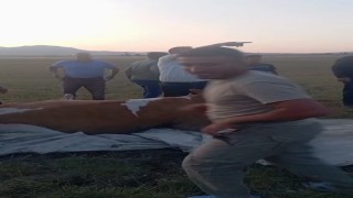Arin Gölünde çamura saplanan inek kurtarıldı