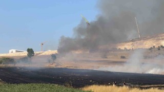 Arnavutköy Sazlıbosnada tarım arazisinde yangın paniği
