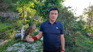 Asırlık atmaca geleneği Artvinde yaşatılıyor