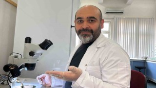 Asya uzun boynuzlu kenesi Türkiye faunasına girdi