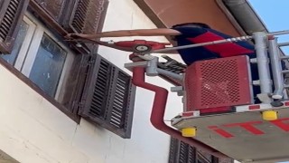 Ayağına ip dolanan kırlangıca itfaiyeden müdahale