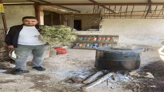 Aydında kekikler şifa için kaynatılmaya başlandı